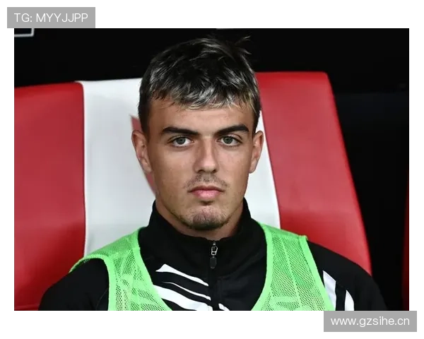 马尔蒂尼职业总结