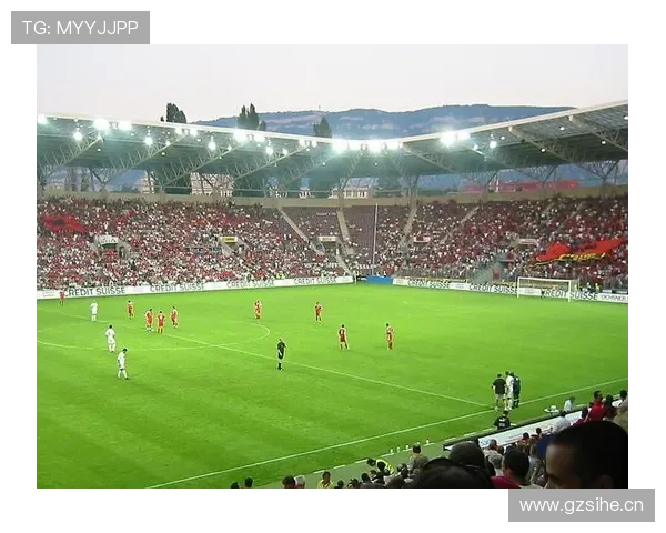 瑞士日内瓦球场