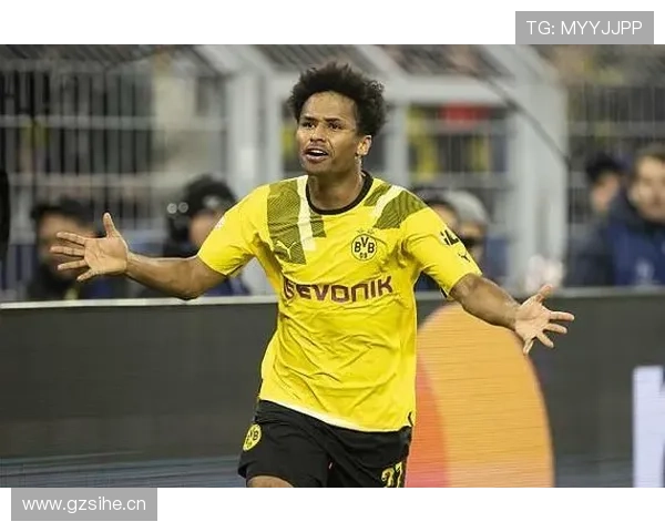 恩佐：从新星到核心中场的成长路径与荣誉解析